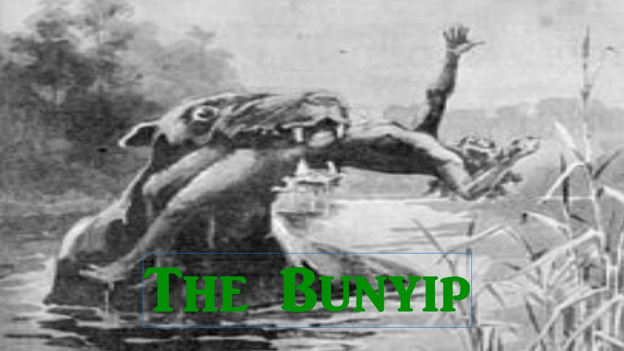 O Bunyip